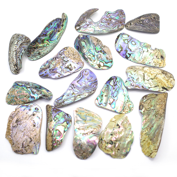 ニュージーランド(NZ) パウア貝(Paua Shell) 天然石ビーズ 販売