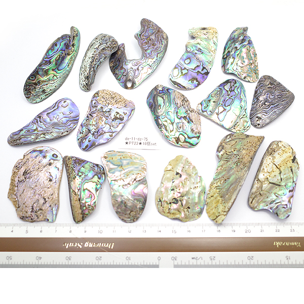 ニュージーランド(NZ) パウア貝(Paua Shell) 天然石ビーズ 販売
