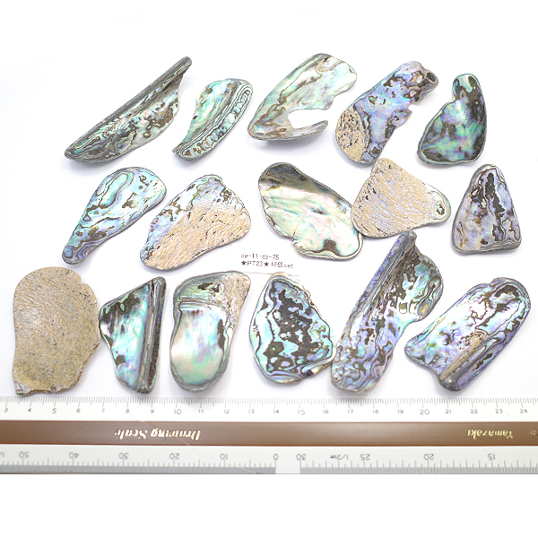 ニュージーランド(NZ) パウア貝(Paua Shell) 天然石ビーズ 販売