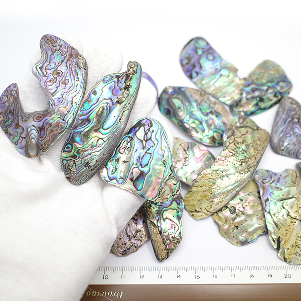 ニュージーランド(NZ) パウア貝(Paua Shell) 天然石ビーズ 販売