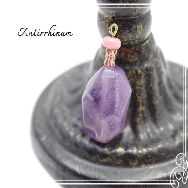  Antirrhinum [ AeBi ] 