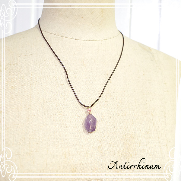  Antirrhinum [ AeBi ] 