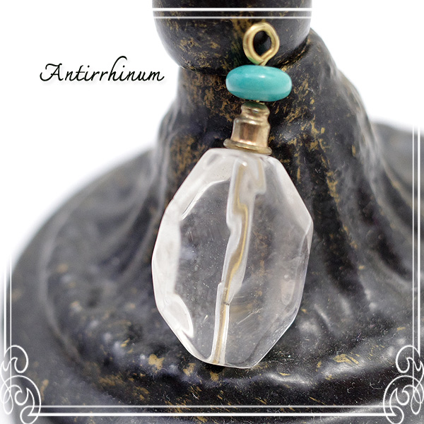  Antirrhinum [ AeBi ] 