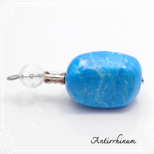  Antirrhinum [ AeBi ] 