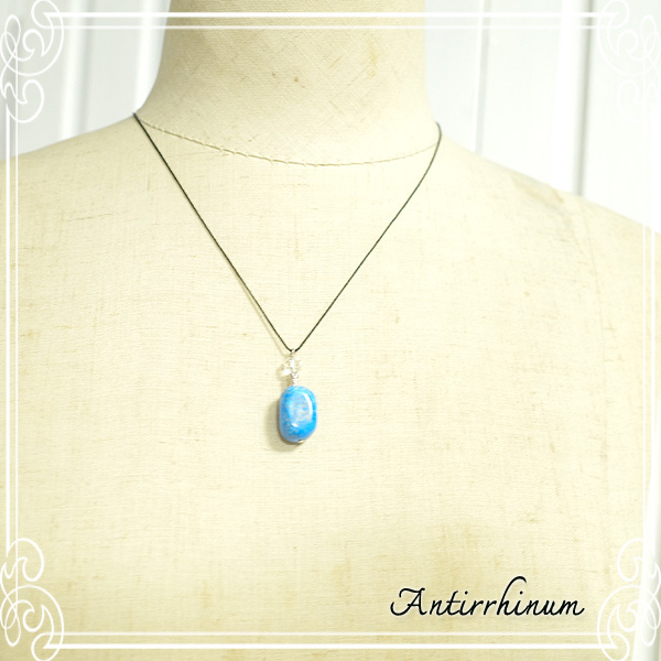  Antirrhinum [ AeBi ] 