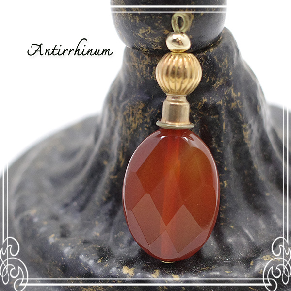  Antirrhinum [ AeBi ] 