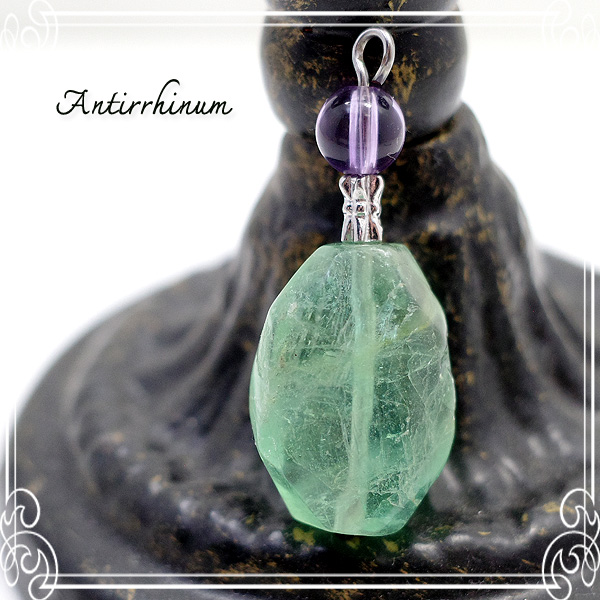  Antirrhinum [ AeBi ] 