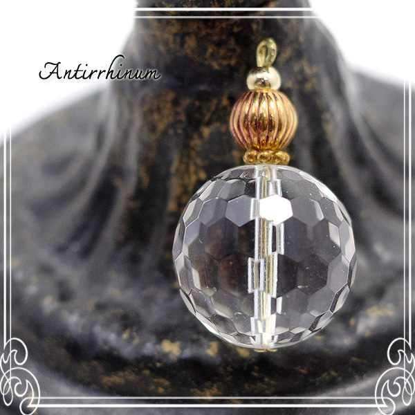  Antirrhinum [ AeBi ] 