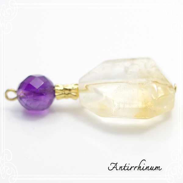  Antirrhinum [ AeBi ] 