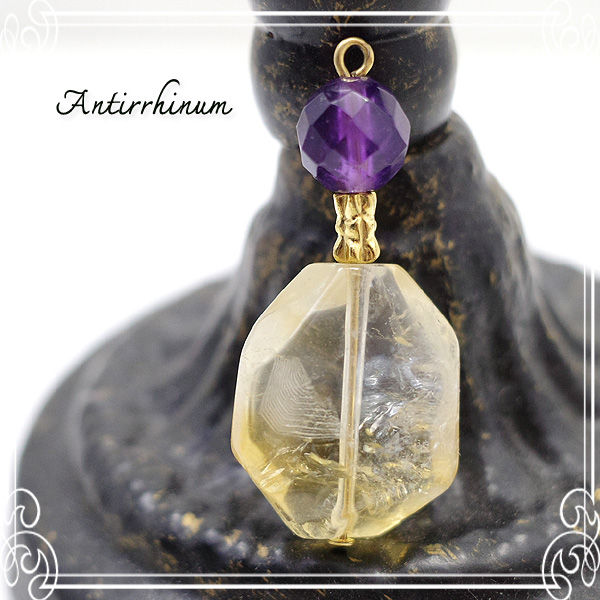  Antirrhinum [ AeBi ] 