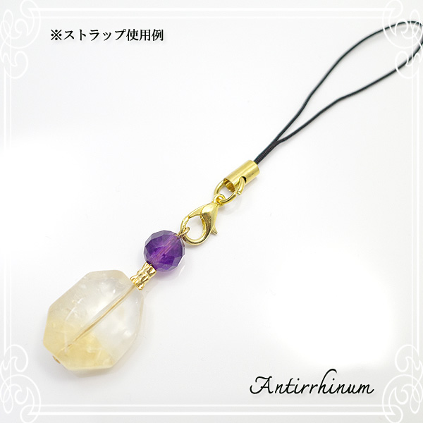  Antirrhinum [ AeBi ] 