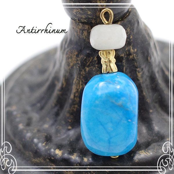  Antirrhinum [ AeBi ] 