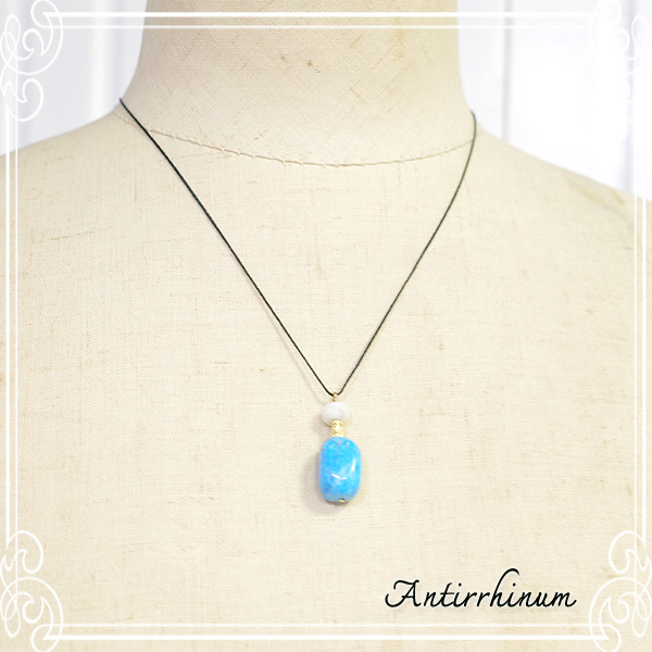  Antirrhinum [ AeBi ] 