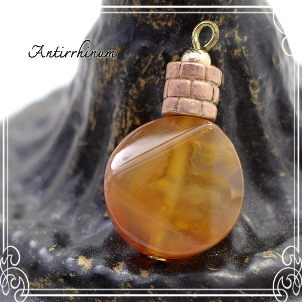  Antirrhinum [ AeBi ] 