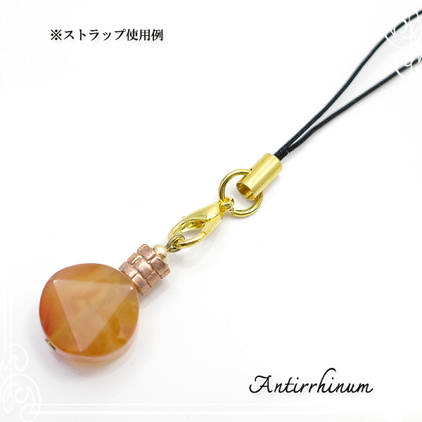  Antirrhinum [ AeBi ] 