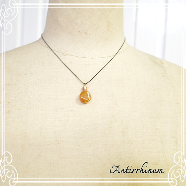  Antirrhinum [ AeBi ] 