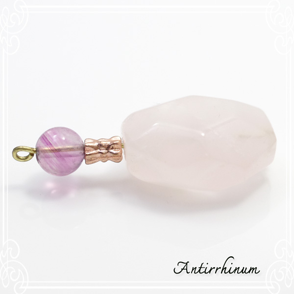  Antirrhinum [ AeBi ] 