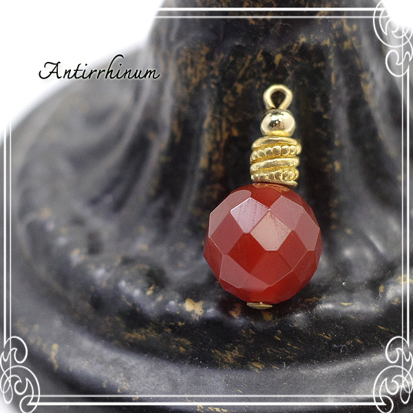  Antirrhinum [ AeBi ] 