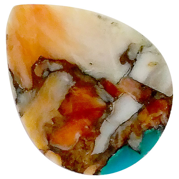 コパオイスターターコイズ(Copper Oyster Turquoise) ラウンドカボション