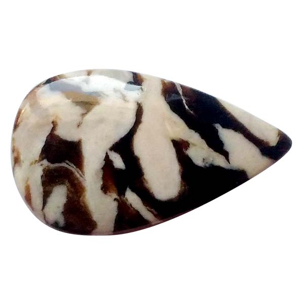 s[ibcEbhWXp[(Peanut Wood jasper) EhJ{V