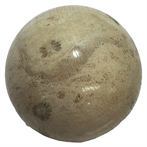 R[(coral) 