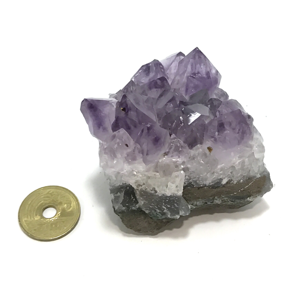 AWXg(Amethyst)/NX^[