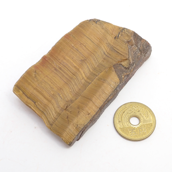^CK[AC(Tiger eye) 