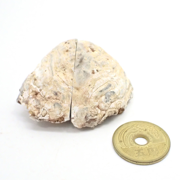 WI[h(Geode) 
