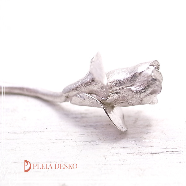 PLEIA DESKO [ vA fXR[ ]