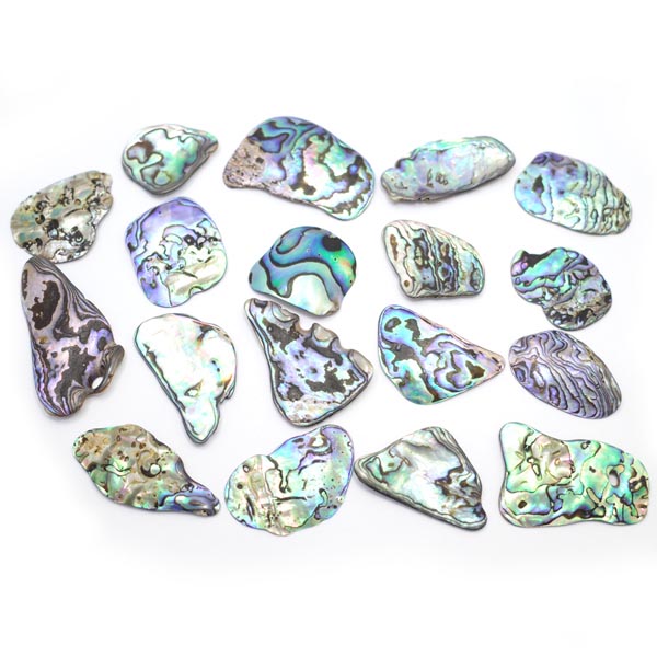 ニュージーランド(NZ) パウア貝(Paua Shell) 天然石ビーズ 販売