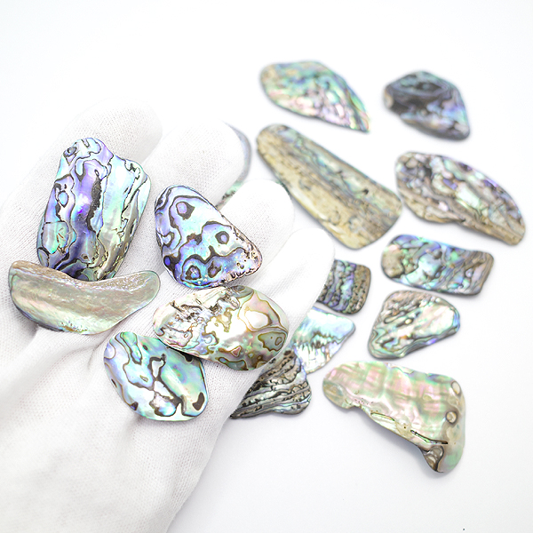 ニュージーランド(NZ) パウア貝(Paua Shell) 天然石ビーズ 販売