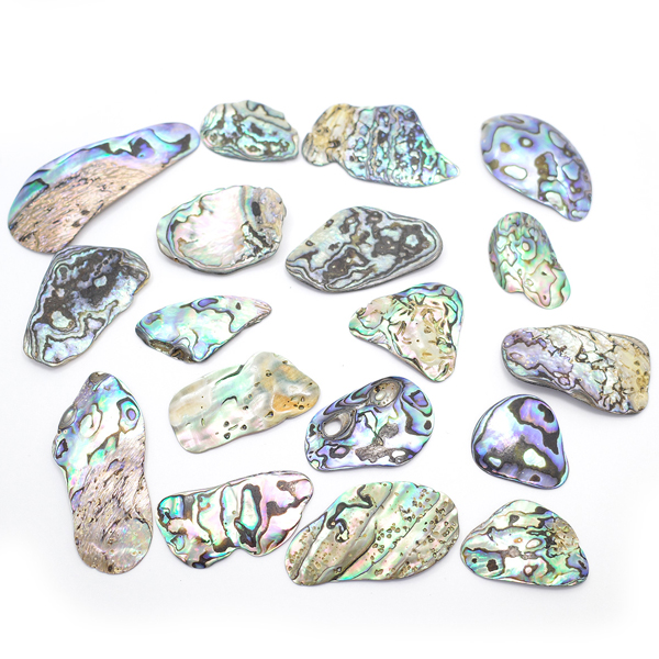 ニュージーランド(NZ) パウア貝(Paua Shell) 天然石ビーズ 販売