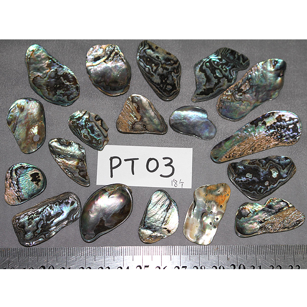 ニュージーランド(NZ) パウア貝(Paua Shell) 天然石ビーズ 販売