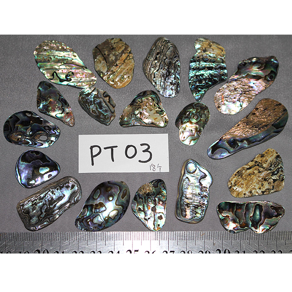 ニュージーランド(NZ) パウア貝(Paua Shell) 天然石ビーズ 販売