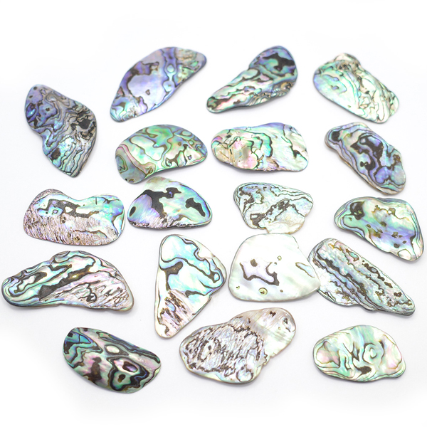 ニュージーランド(NZ) パウア貝(Paua Shell) 天然石ビーズ 販売