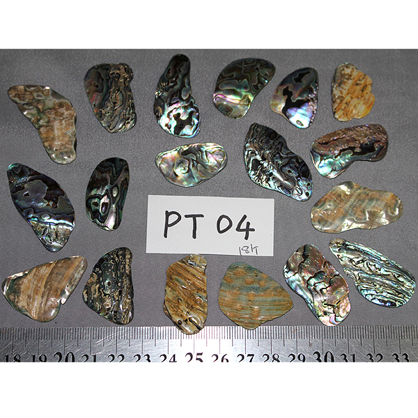 ニュージーランド(NZ) パウア貝(Paua Shell) 天然石ビーズ 販売