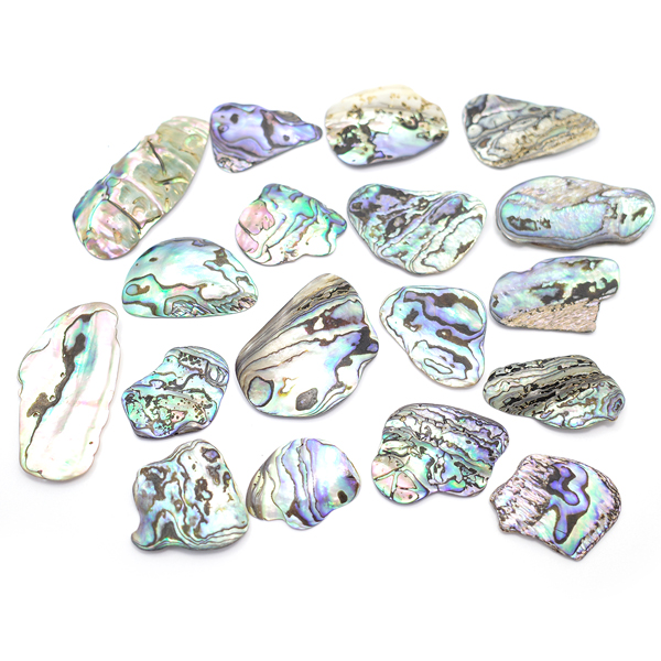 ニュージーランド(NZ) パウア貝(Paua Shell) 天然石ビーズ 販売