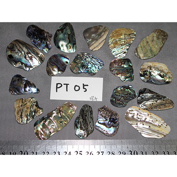 ニュージーランド(NZ) パウア貝(Paua Shell) 天然石ビーズ 販売
