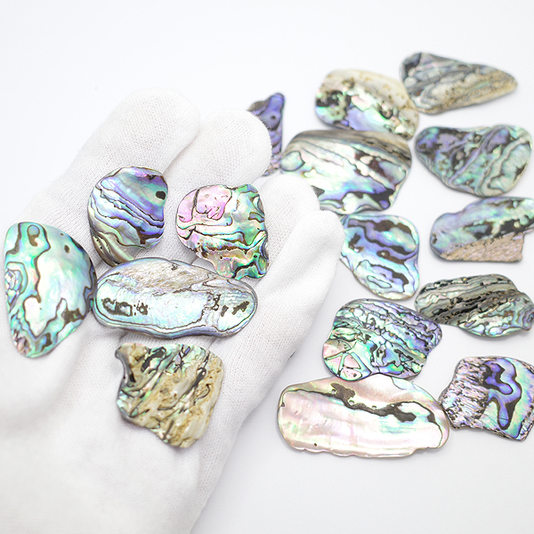 ニュージーランド(NZ) パウア貝(Paua Shell) 天然石ビーズ 販売