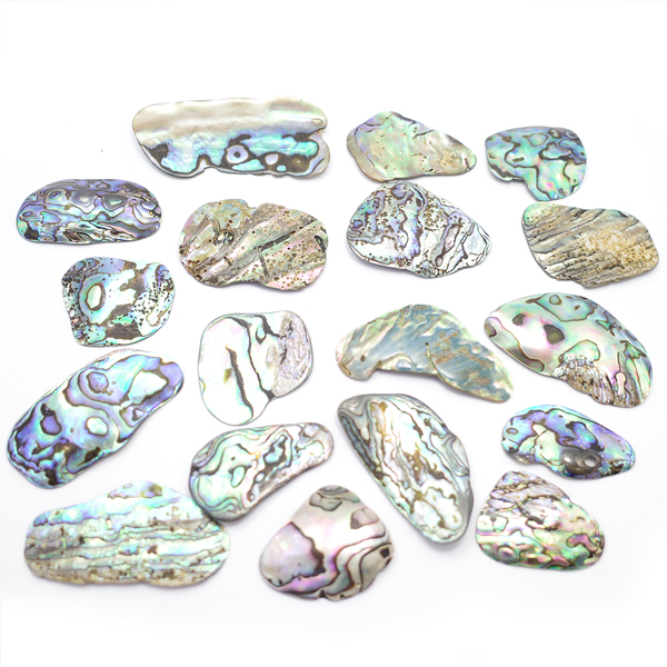 ニュージーランド(NZ) パウア貝(Paua Shell) 天然石ビーズ 販売