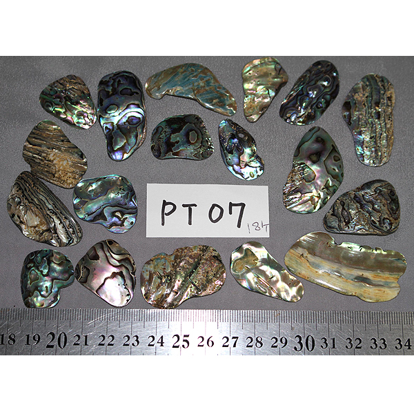 ニュージーランド(NZ) パウア貝(Paua Shell) 天然石ビーズ 販売