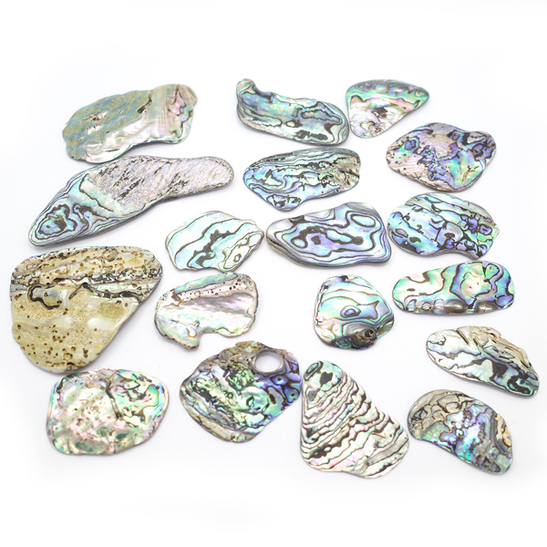 ニュージーランド(NZ) パウア貝(Paua Shell) 天然石ビーズ 販売