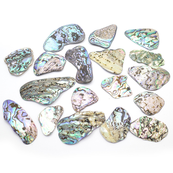 ニュージーランド(NZ) パウア貝(Paua Shell) 天然石ビーズ 販売
