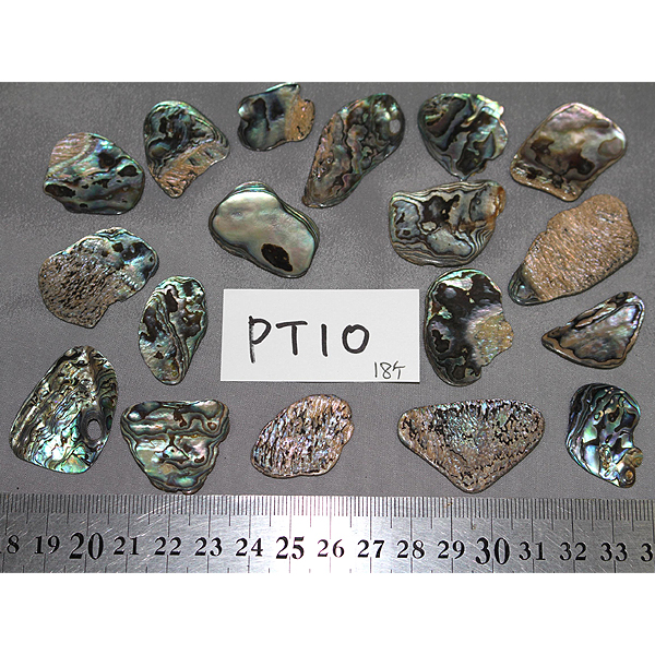 ニュージーランド(NZ) パウア貝(Paua Shell) 天然石ビーズ 販売