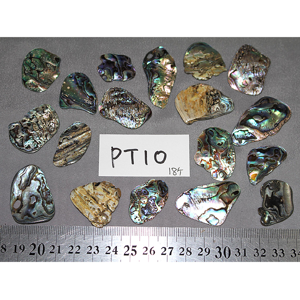 ニュージーランド(NZ) パウア貝(Paua Shell) 天然石ビーズ 販売