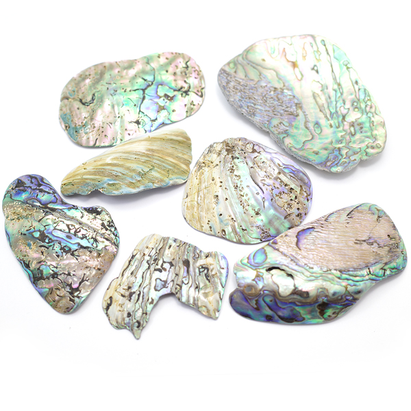 ニュージーランド(NZ) パウア貝(Paua Shell) 天然石ビーズ 販売