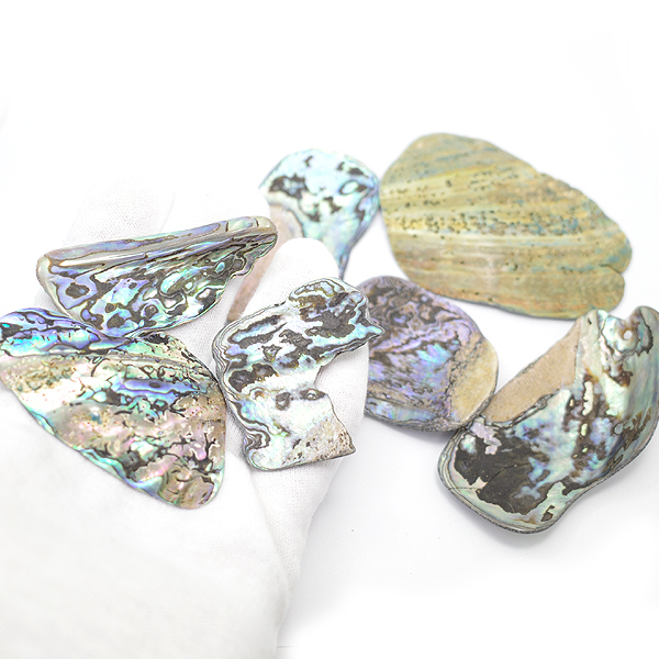 ニュージーランド(NZ) パウア貝(Paua Shell) 天然石ビーズ 販売
