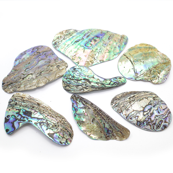 ニュージーランド(NZ) パウア貝(Paua Shell) 天然石ビーズ 販売