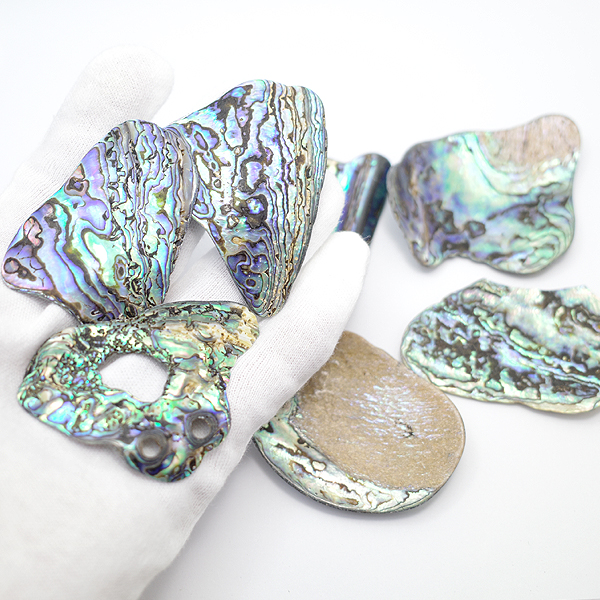 ニュージーランド(NZ) パウア貝(Paua Shell) 天然石ビーズ 販売