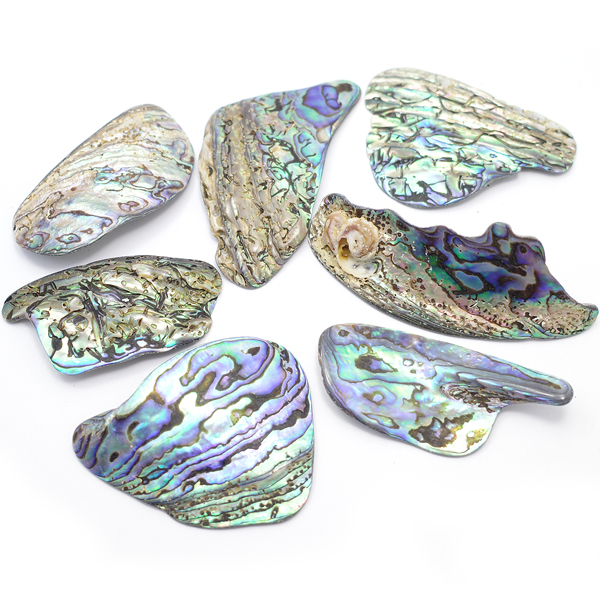 ニュージーランド(NZ) パウア貝(Paua Shell) 天然石ビーズ 販売